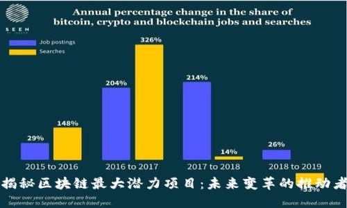 揭秘区块链最大潜力项目：未来变革的推动者