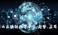 探索国内区块链数字平台：趋势、应用与前景
