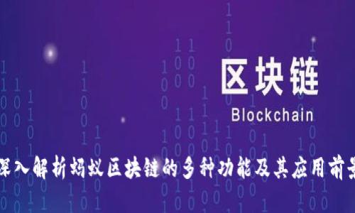 深入解析蚂蚁区块链的多种功能及其应用前景