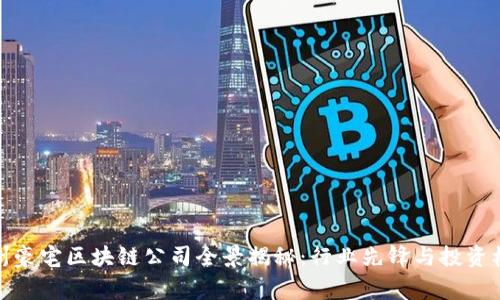 常州豪宅区块链公司全景揭秘：行业先锋与投资机遇