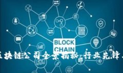 常州豪宅区块链公司全景揭秘：行业先锋与投资