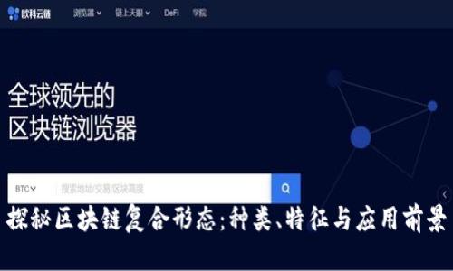 探秘区块链复合形态：种类、特征与应用前景