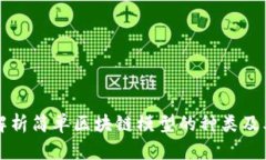 全面解析简单区块链模型的种类及其应用