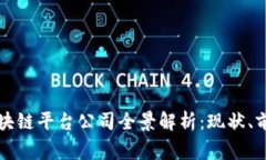 国家承认的区块链平台公司全景解析：现状、前