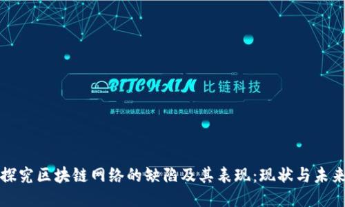 探究区块链网络的缺陷及其表现：现状与未来