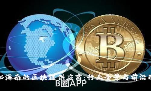 探秘海南的区块链供应商：行业全景与前沿动态