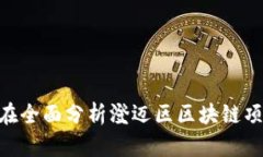   海南澄迈区块链项目的现状与未来：探析区块链