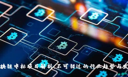 启迪区块链中标项目解析：不可错过的行业趋势与发展机遇