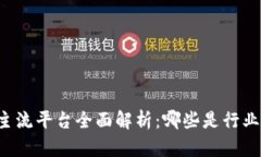 区块链主流平台全面解析：哪些是行业领导者？
