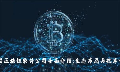 南昌区块链软件公司全面介绍：生态布局与技术创新