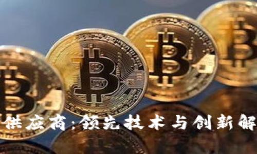 : 探索德国区块链供应商：领先技术与创新解决方案的全景分析