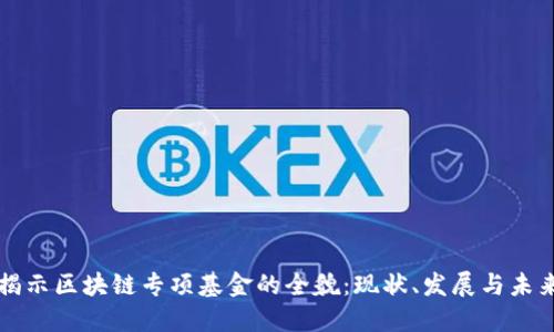 揭示区块链专项基金的全貌：现状、发展与未来