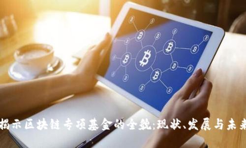 揭示区块链专项基金的全貌：现状、发展与未来