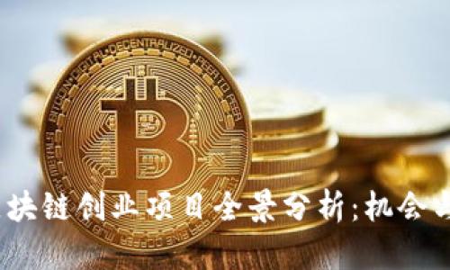 2023年区块链创业项目全景分析：机会与挑战并存