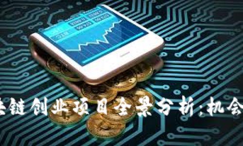 2023年区块链创业项目全景分析：机会与挑战并存