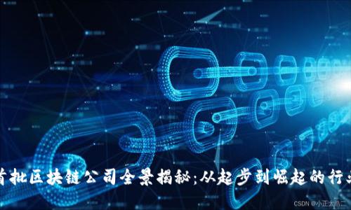 国内首批区块链公司全景揭秘：从起步到崛起的行业先锋
