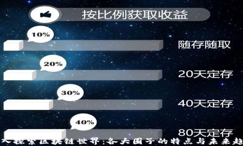 
深入探索区块链世界：各大圈子的特点与未来趋势
