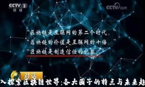 
深入探索区块链世界：各大圈子的特点与未来趋势
