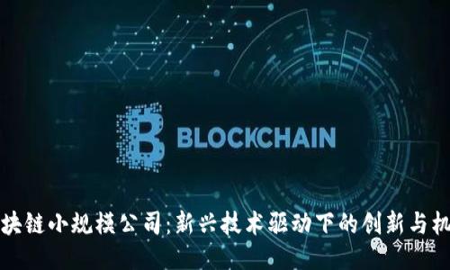 区块链小规模公司：新兴技术驱动下的创新与机遇