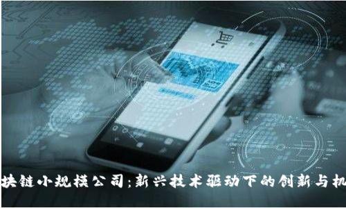 区块链小规模公司：新兴技术驱动下的创新与机遇