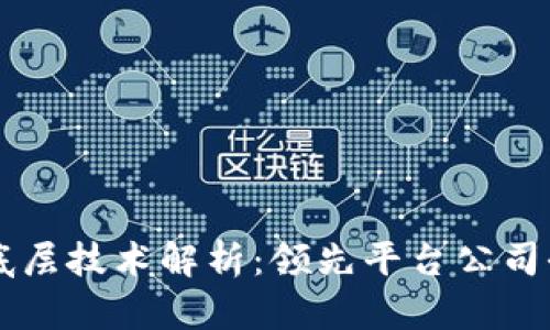 区块链底层技术解析：领先平台公司全景盘点