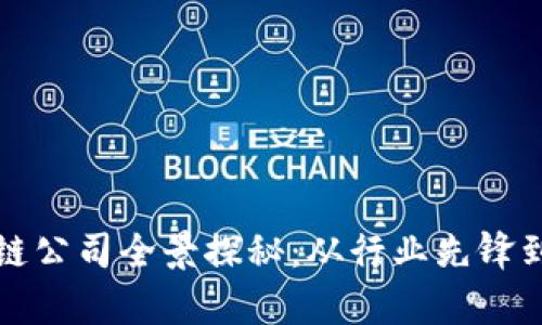 贵阳区块链公司全景探秘：从行业先锋到创新案例