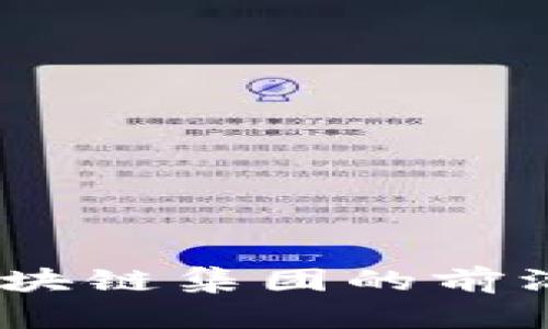 深入剖析：韩国区块链集团的前沿项目与发展趋势