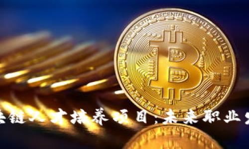 全面解析区块链人才培养项目：未来职业发展的新机遇