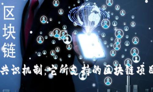 深入探索DPoS共识机制：它所支持的区块链项目及其技术优势