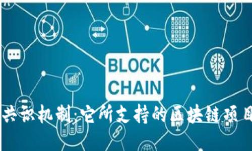 深入探索DPoS共识机制：它所支持的区块链项目及其技术优势