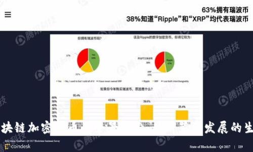 台湾区块链加密货币的全景探索：从萌芽到发展的生态系统