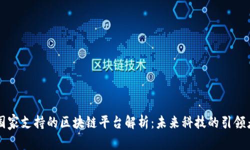 国家支持的区块链平台解析：未来科技的引领者