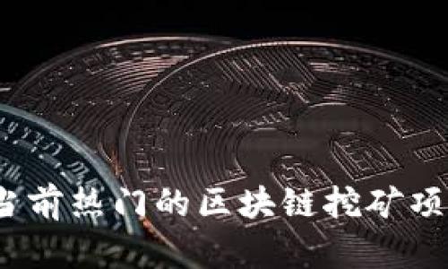 深入探讨：当前热门的区块链挖矿项目及其前景