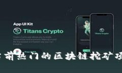 深入探讨：当前热门的区块链挖矿项目及其前景