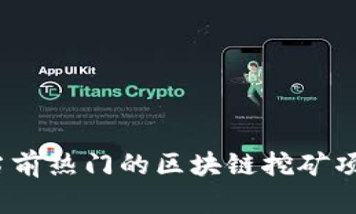 深入探讨：当前热门的区块链挖矿项目及其前景