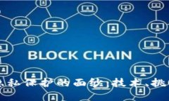 揭开区块链隐私保护的面纱：技术、挑战与未来