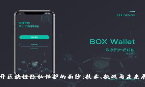 揭开区块链隐私保护的面纱：技术、挑战与未来展望