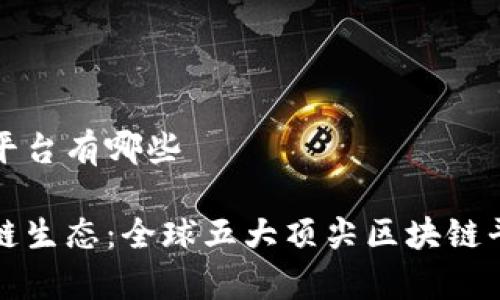 区块链大平台有哪些

探秘区块链生态：全球五大顶尖区块链平台全解析