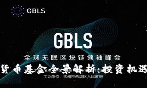 全球区块链货币基金全景解析：投资机遇与风险管理