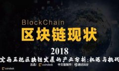 定南正规区块链发展的产业分析：机遇与挑战