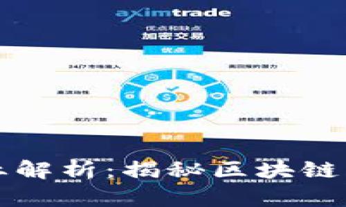 区块链工程人员的专业解析：揭秘区块链行业的多样化人才需求