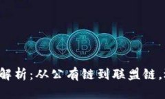 区块链留证平台类型全面解析：从公有链到联盟
