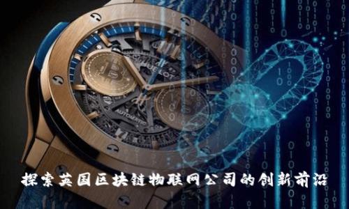 探索英国区块链物联网公司的创新前沿