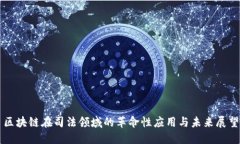 区块链在司法领域的革命性应用与未来展望
