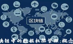 深入了解区块链中的数据权限管理：概念、应用
