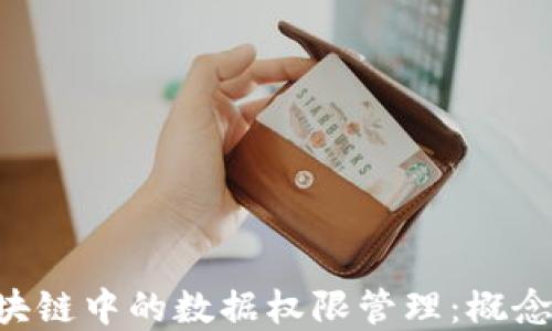 
深入了解区块链中的数据权限管理：概念、应用与挑战