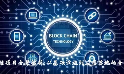  区块链项目全景解析：从基础设施到应用落地的全面探讨