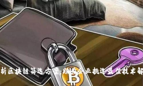 全面解析区块链筛选方案：助力企业挑选最佳技术解决方案