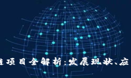 国家支持的区块链项目全解析：发展现状、应用案例与前景展望