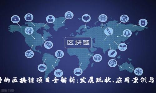 国家支持的区块链项目全解析：发展现状、应用案例与前景展望
